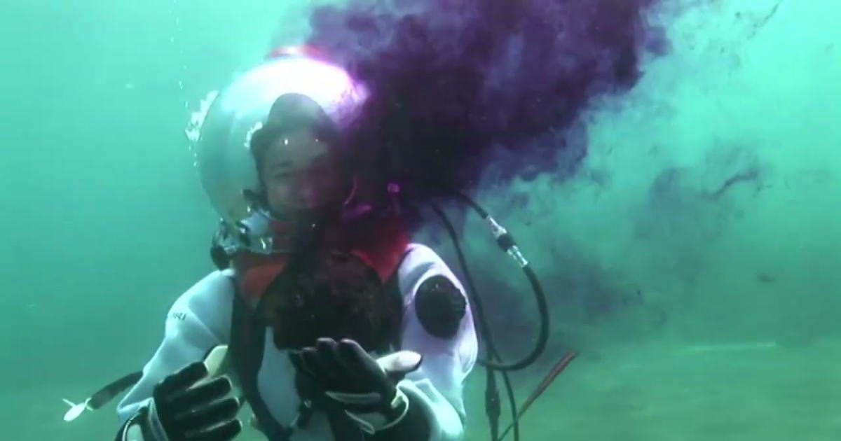 アメフラシの紫汁水中映像