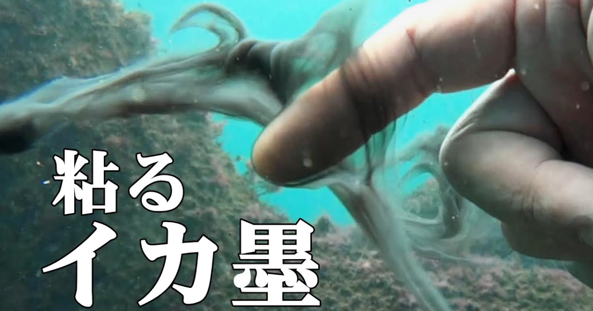 イカスミの水中映像