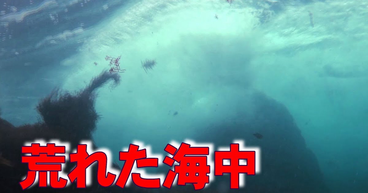 荒れた海中の水中映像