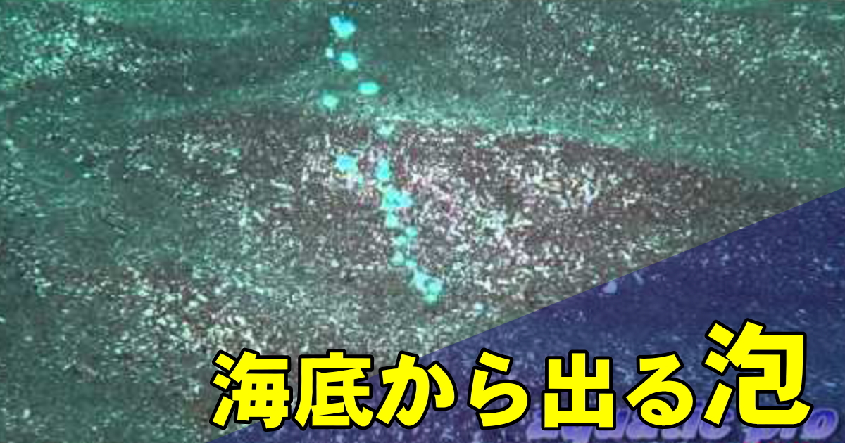 海底から泡が出る水中映像