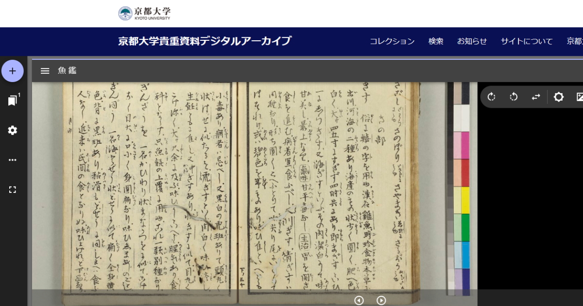 天保2年（1831年）の医師、武井周作によって刊行された『魚鑑』には、キス（シロギス）の項目があり、味や体への効能、別種との区別について書かれている。